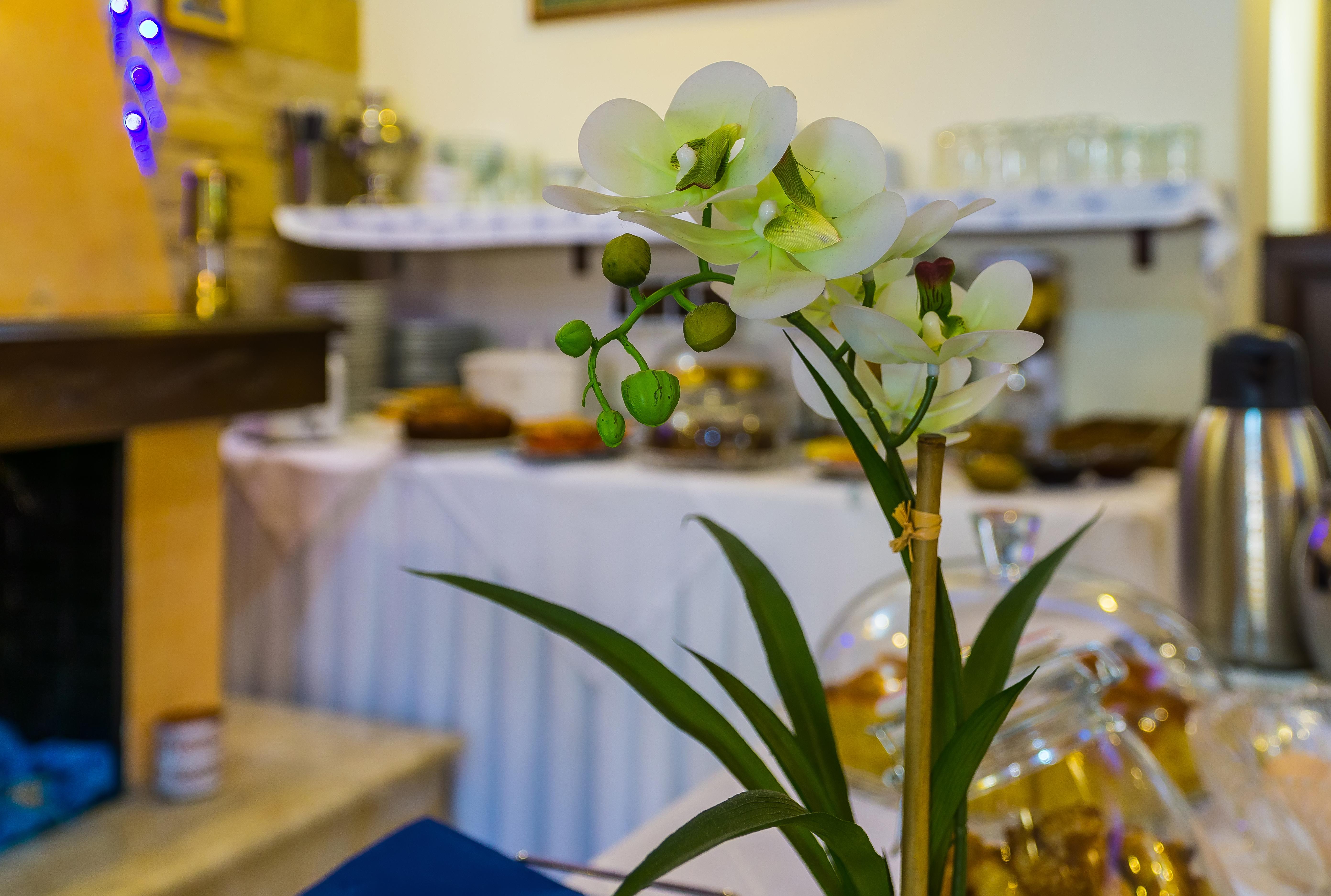"Epavlis Boutique Galaxidi" Otel Dış mekan fotoğraf